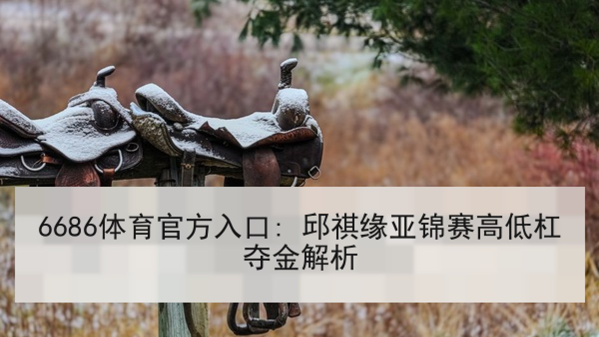 6686体育官方入口: 邱祺缘亚锦赛高低杠夺金解析