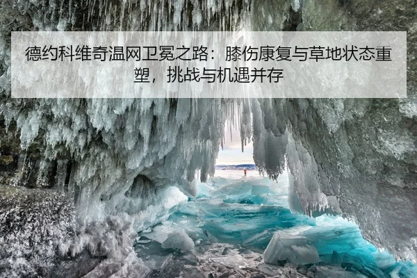 德约科维奇温网卫冕之路：膝伤康复与草地状态重塑，挑战与机遇并存
