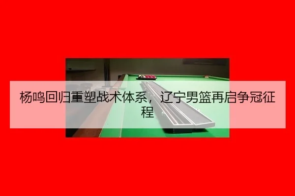 yang-ming-hui-gui-zhong-su-zhan-shu-ti-xi-liao-ning-nan-lan-zai-qi-zheng-guan-zheng-cheng-2-937.jpg