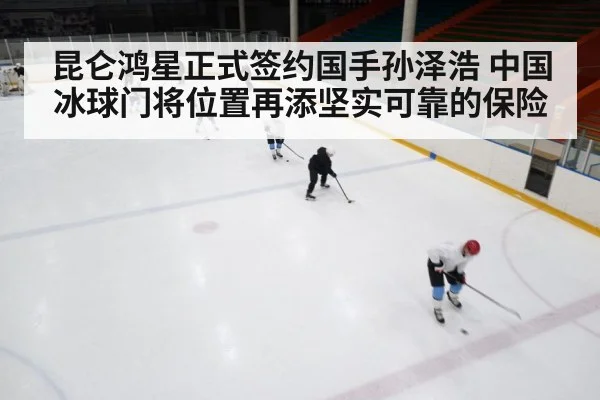 ice hockey game